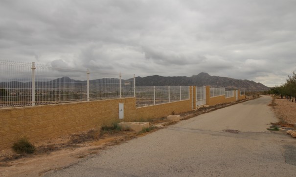 Resale - Grundstück Grundstück -
Abanilla