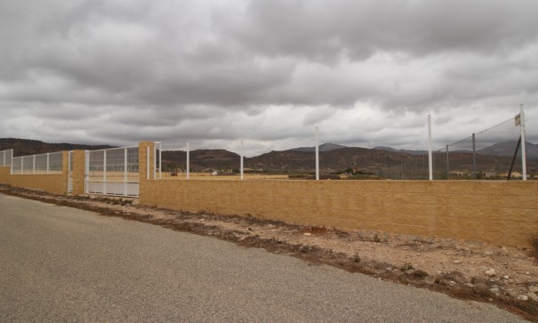 Resale - Grundstück Grundstück -
Abanilla