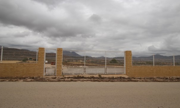 Resale - Grundstück Grundstück -
Abanilla