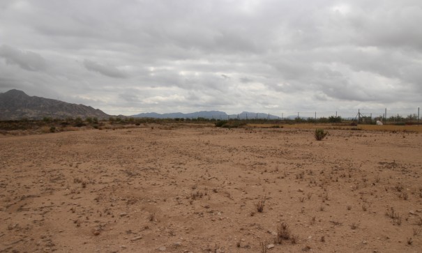 Herverkoop - Perceel Grond -
Abanilla