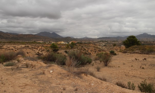 Herverkoop - Perceel Grond -
Abanilla
