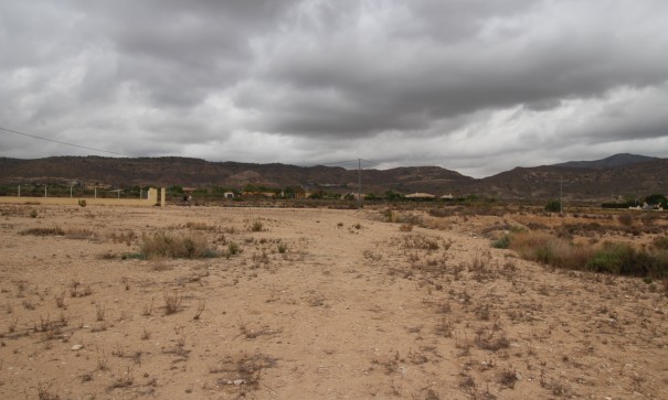 Herverkoop - Perceel Grond -
Abanilla