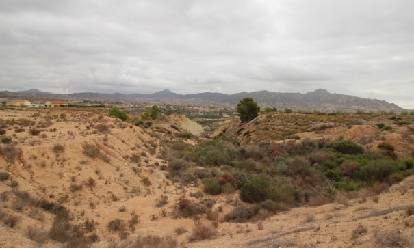 Herverkoop - Perceel Grond -
Abanilla