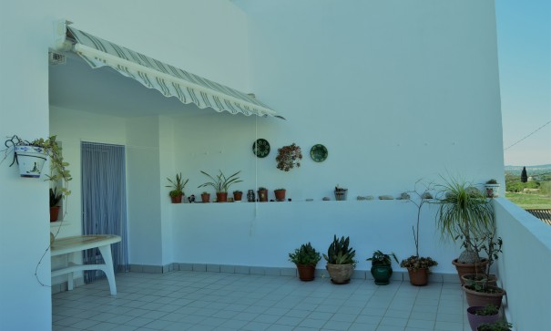 Venta - Chalet Independiente -
Los Montesinos