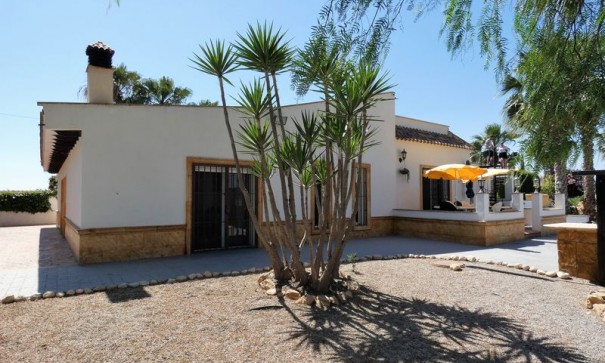 Sale - Finca Country Property -
Orihuela