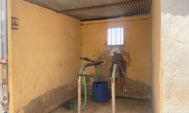 Återförsäljning - Kommersiell -
Balsicas - Torre Pacheco