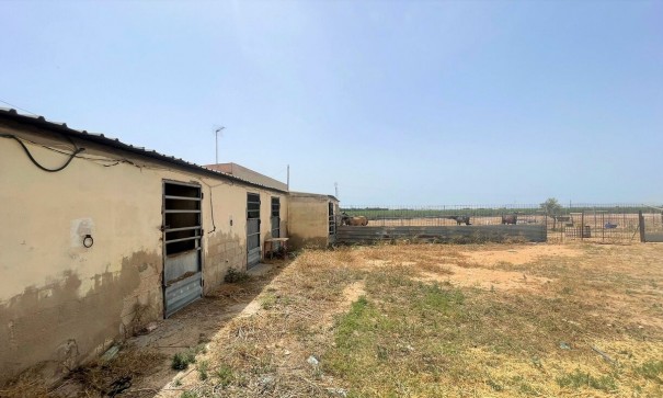 Återförsäljning - Kommersiell -
Balsicas - Torre Pacheco