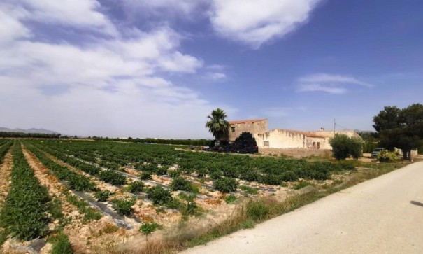 Videresalg - Grund Jord -
Albatera