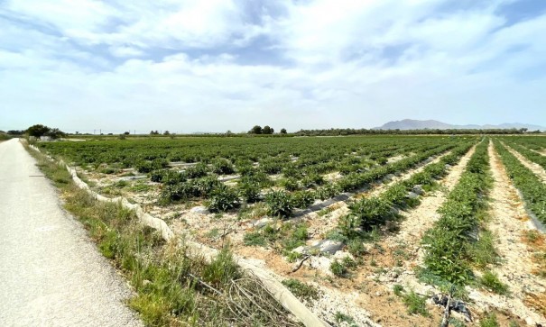 Videresalg - Grund Jord -
Albatera