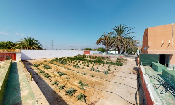 Venta - Casa de pueblo -
Albatera