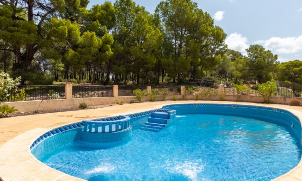 Sprzedaż - Willa wolnostojąca -
Ibi