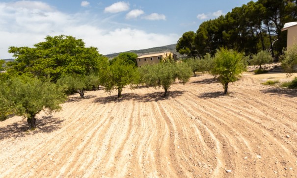 Sprzedaż - Willa wolnostojąca -
Ibi