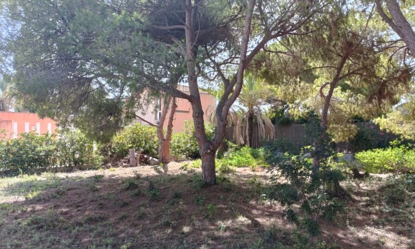 Resale - Grundstück Grundstück -
Cabo Roig