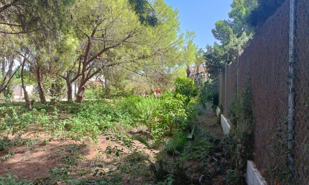 Resale - Grundstück Grundstück -
Cabo Roig