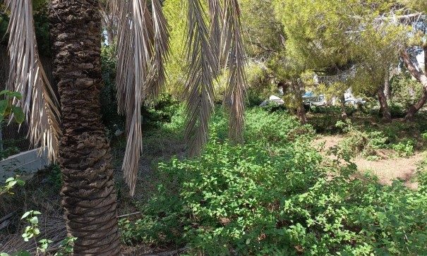 Resale - Grundstück Grundstück -
Cabo Roig