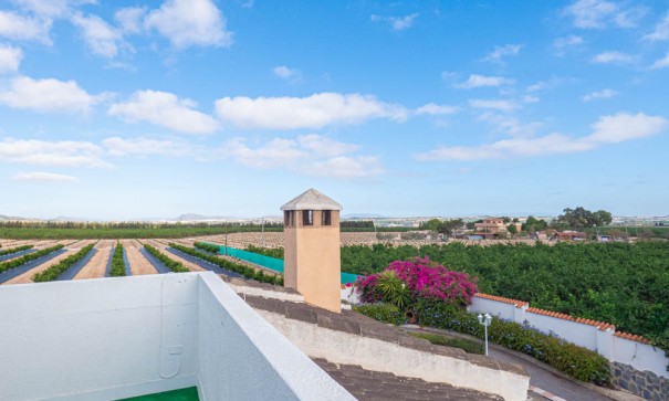 Sale - Detached Villa -
San Miguel de Salinas