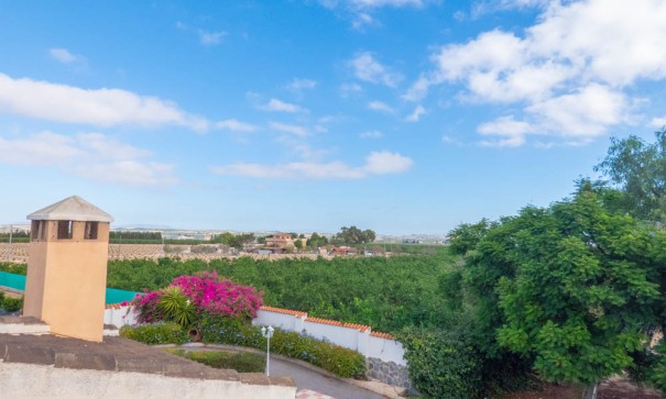 Sale - Detached Villa -
San Miguel de Salinas