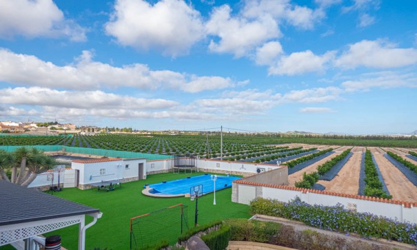 Sale - Detached Villa -
San Miguel de Salinas