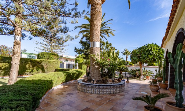 Revente - Villa Individuelle -
La Zenia - Beachside