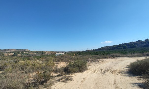 Videresalg - Finca landejendom -
Torremendo