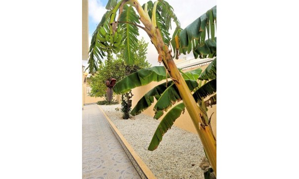 Sale - Detached Villa -
Los Urrutias - ESTRELLA DE MAR