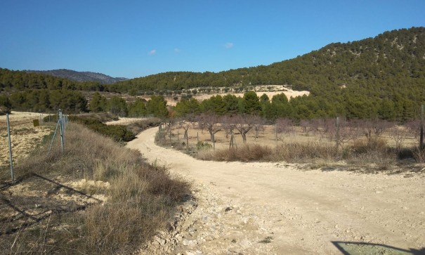 Sale - Finca Country Property -
Bullas