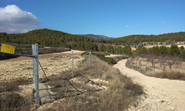 Sale - Finca Country Property -
Bullas
