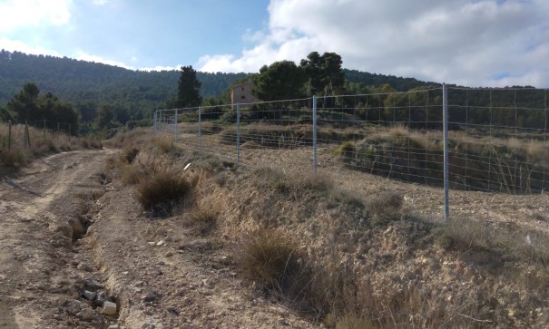 Sale - Finca Country Property -
Bullas