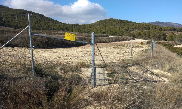 Sale - Finca Country Property -
Bullas