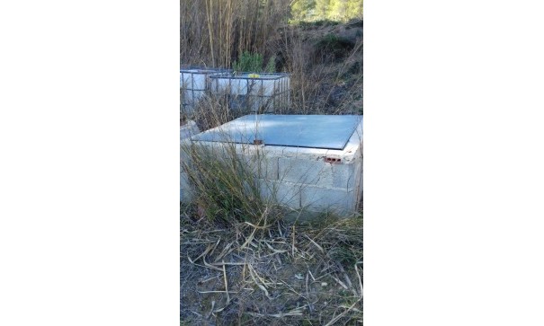 Sale - Finca Country Property -
Bullas