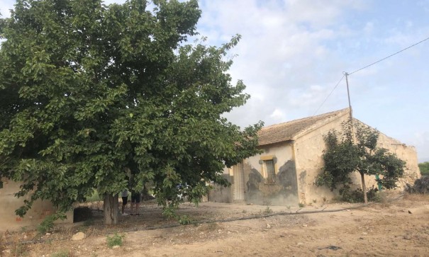 Videresalg - Finca landejendom -
Callosa de Segura