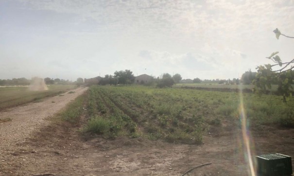 Videresalg - Finca landejendom -
Callosa de Segura