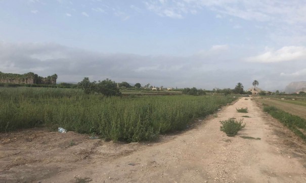 Videresalg - Finca landejendom -
Callosa de Segura