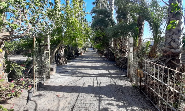 Resale - Freistehende Villa -
Orihuela