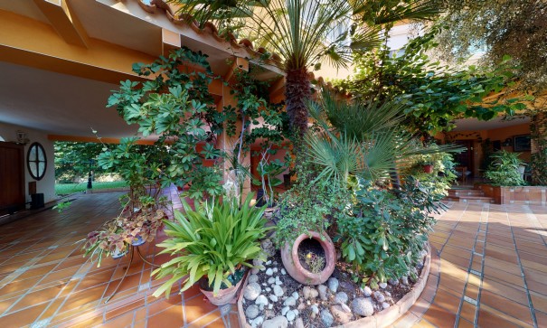 Revente - Villa Individuelle -
Torrevieja