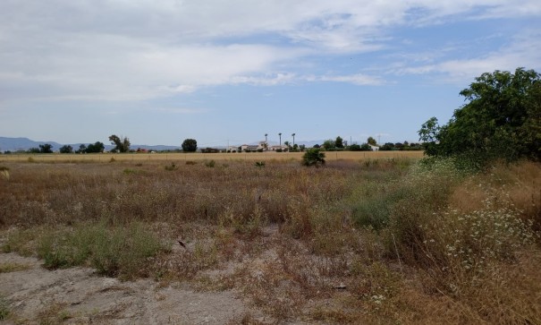 Återförsäljning - Vomt Mark -
San Fulgencio