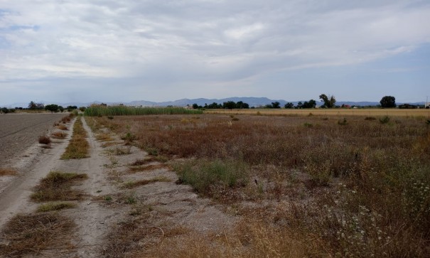 Återförsäljning - Vomt Mark -
San Fulgencio