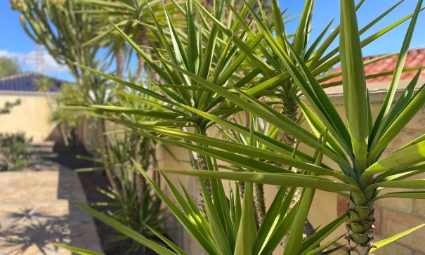 Revente - Villa Individuelle -
Orihuela Costa - Villamartín