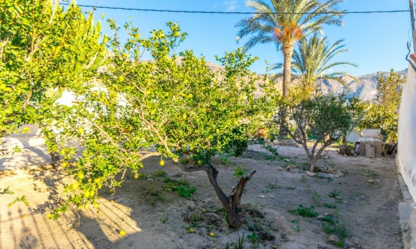 Sale - Finca Country Property -
Orihuela - Raiguero de Bonanza