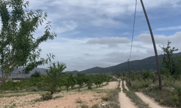 Venta - Chalet Independiente -
Pinoso