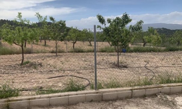 Venta - Chalet Independiente -
Pinoso