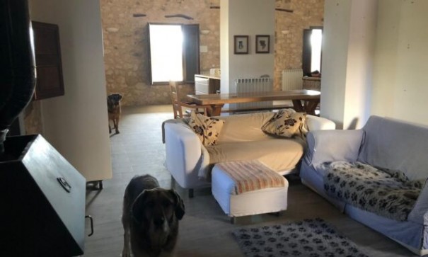 Sprzedaż - Willa wolnostojąca -
Torre del Rico