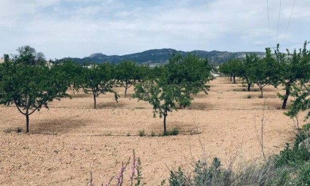 Venta - Parcela Terreno -
La Romana
