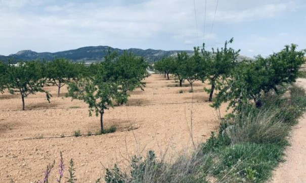 Venta - Parcela Terreno -
La Romana