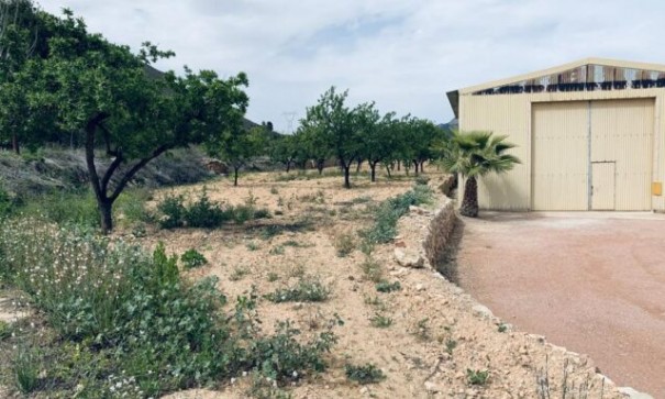 Sale - Plot Land -
La Romana