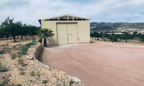 Sale - Plot Land -
La Romana