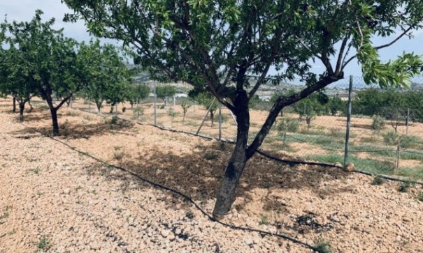 Sale - Plot Land -
La Romana