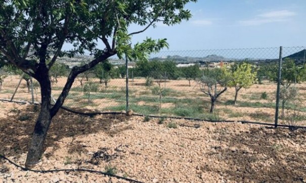 Sale - Plot Land -
La Romana