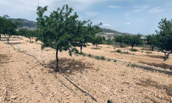 Sale - Plot Land -
La Romana