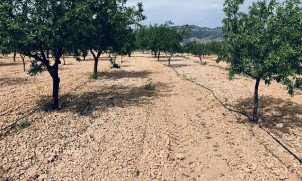 Sale - Plot Land -
La Romana